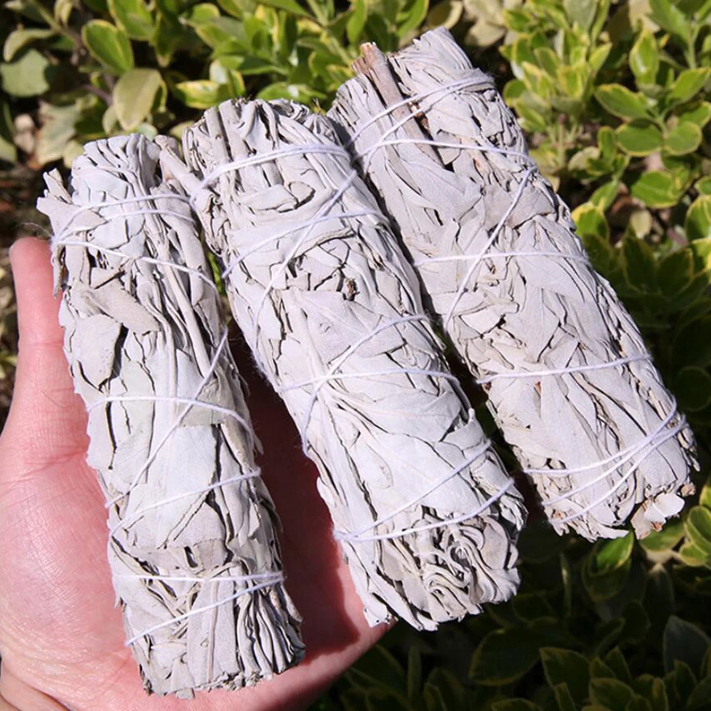 3PCS 9cm California White Sage Bundle Stick Wand for Spiritual Incense Sticks Burning Aromatherapy Energy Cleansing Bundles